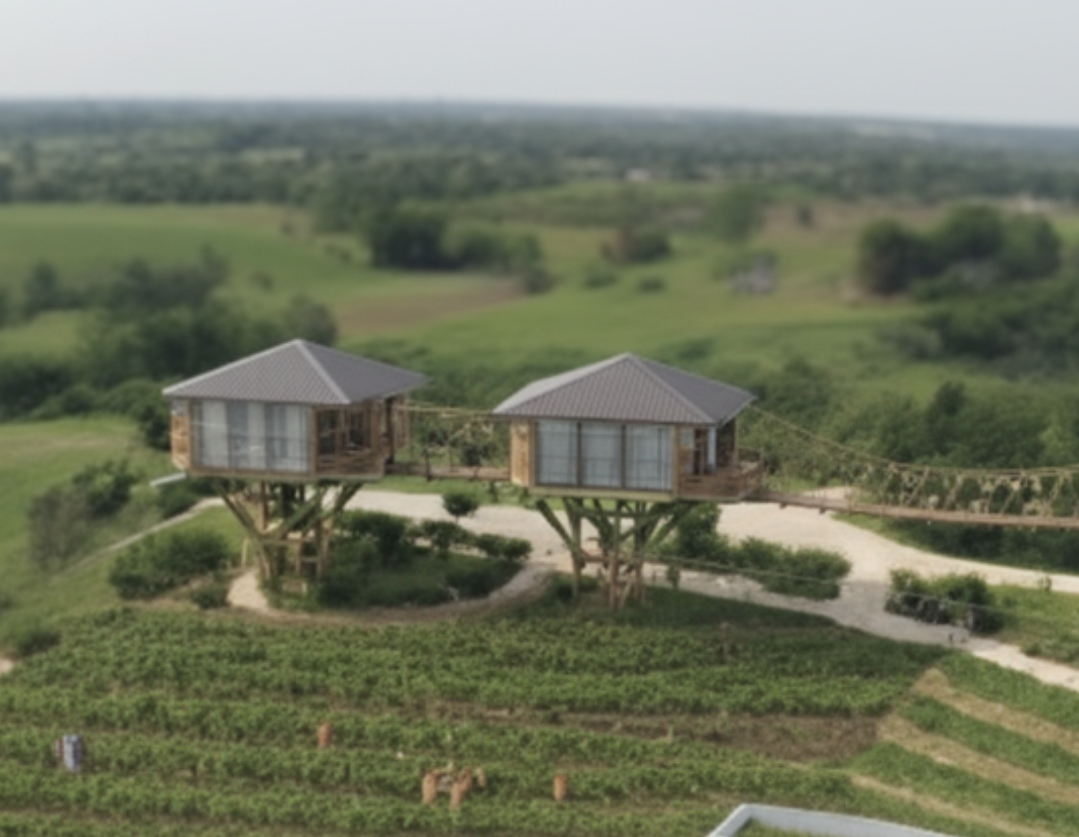 Tree House